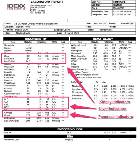 blood test result analyzer|interpret my blood test results.